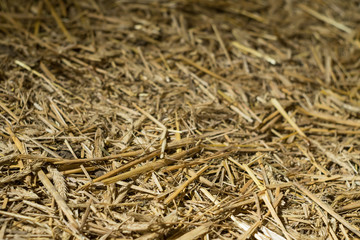 Background of chopped straw