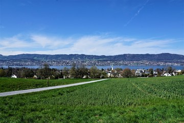 Wiese und Wanderweg in Zollikon im Kanton Zürich in der Schweiz im April  - 212915377