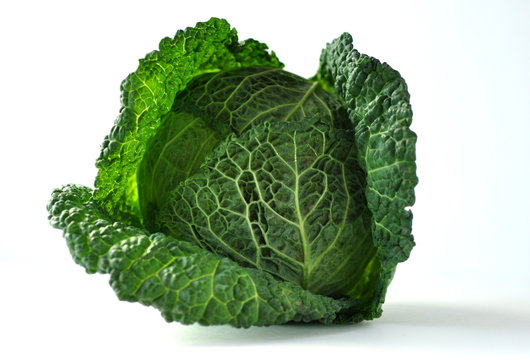 Beauty of a Savoy cabbage head. Front view of a beautiful fresh green cabbage head, isolated on white with copy space.