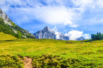 Obraz premium Hiking the Salzburger Almenweg in Austria from campsite to hut