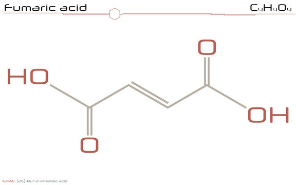 Large and detailed infographic of the molecule of Fumaric acid.