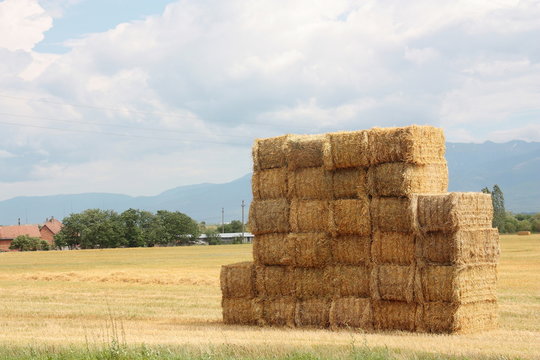 Hay bales stacked on a big pile