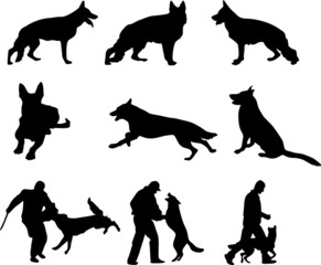 Schäferhund - Silhouetten