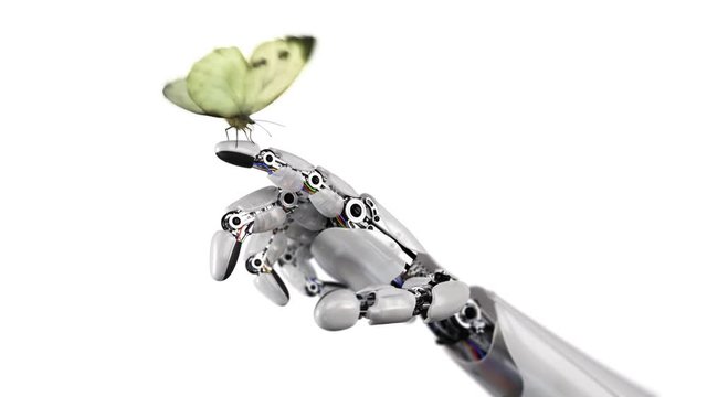 Caggabe Butterfly Lands on the Robot's Hand on a White Background. Beautiful 3d animation with a depth of field, 4K. see more options in my portfolio
