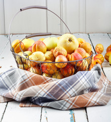Ripe tasty fresh apricots and apples in  woven metal basket