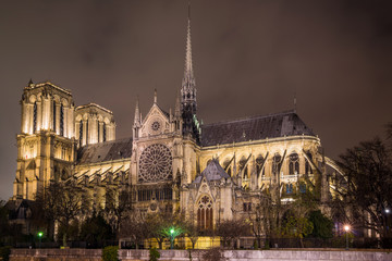 Fototapeta premium Notre Dame de Paris