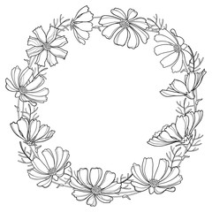Vector round wreath or garland with outline Cosmos or Cosmea flower bunch and ornate leaf in black isolated on white background. Contour blooming Cosmos plant for summer design and coloring book.
