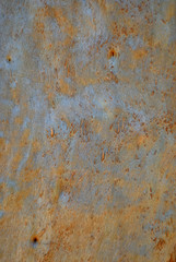 Detail of the trunk of a eucalyptus tree.