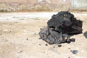 Burnt wood on the soil