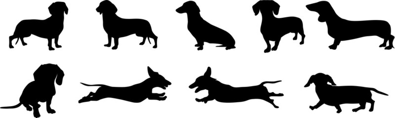 Dackel - Silhouetten © BarefootBornDesign