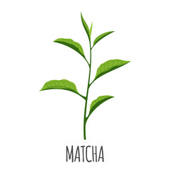 Matcha icon in flat style isolated on white.