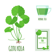 Gotu Kola set with tea package and cup of tea in flat style isolated on white. - obrazy, fototapety, plakaty