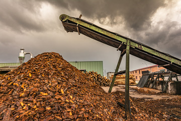 Transport of pine logs in a sawmill for processing and pellet processing