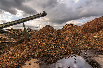 Transport of pine logs in a sawmill for processing and pellet processing
