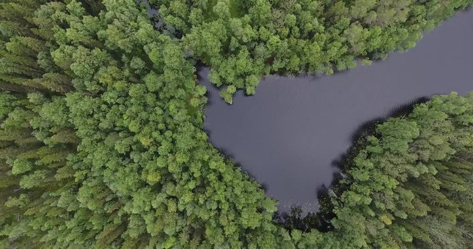 Aerial view of the forest lake