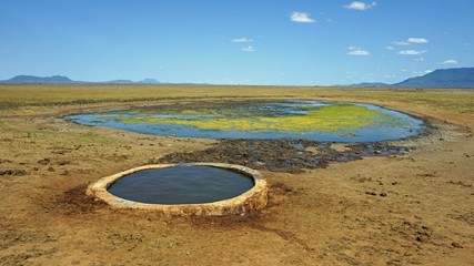 water whole with kenyan nature