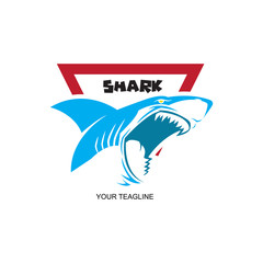 shark logo