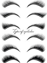 Set of black eyelashes of different types. Vector illustration.
