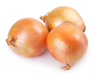 Fresh onion on white background