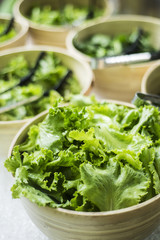 bowls of fresh organic lettuce leaves in salad bar display