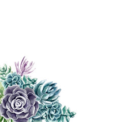 Succulents painted with watercolor on a white background. Color cacti. A stone rose. Flowers from...