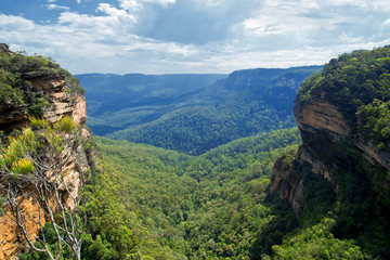 Blue Mountains landscape Summer in Australia.