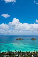 Fototapeta premium WALKING IN HAWAII