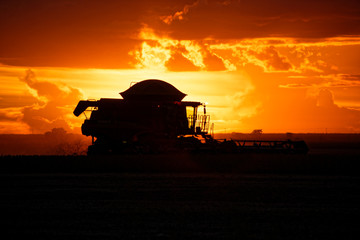 Fototapeta premium Soybeans harvest at sunset in Brazil