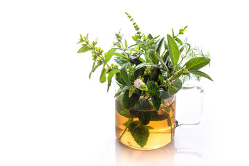 Herbal tea with fresh green herbs isolated on white