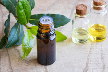 A bottle of bay leaf essential oil with fresh bay leaves