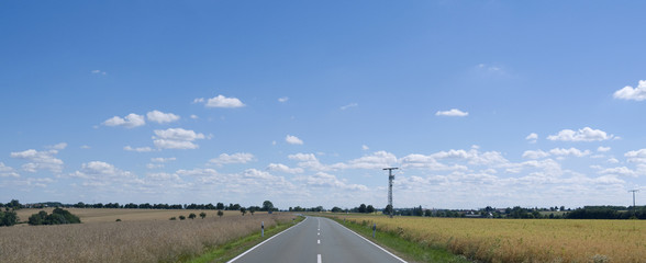 Roads: Idyllic country road through faded rape fields between Gera and Altenburg on a sunny day in early July