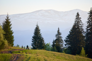 Male tourist hiker photographer with photo camera on grassy hill between high green pine trees, taking picture of beautiful foggy distant mountain view. Tourism, traveling and photography concept.