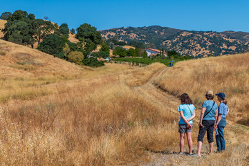 Fototapeta na wymiar Three women are standing on a path in California's golden grasses. Hills rise up on each side of them. They primary wear blue colors. Tall trees and mountains and a blue sky are in the background.