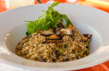 Tasty vegetarian risotto with mushrooms and lettuce on top. Healthy eating plate