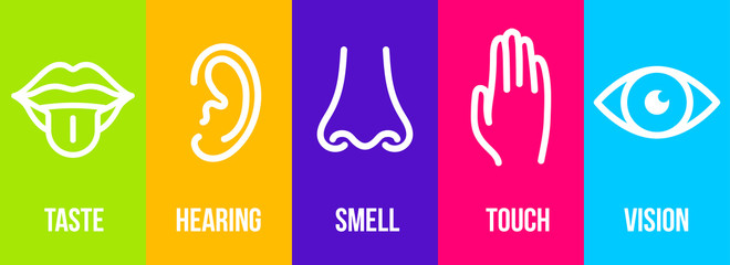 Creative vector illustration line icon set of five human senses. Vision, hearing, smell, touch, taste isolated on transparent background. Art design nose, eye, hand, ear, mouth with tongue element
