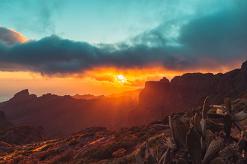 Nature and vulcanic landscapes in Tenerife, Spain