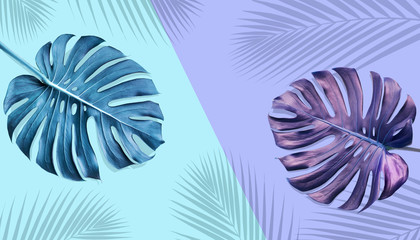 Tropical monstera leaves with palm shadow on pastel color background © hakinmhan