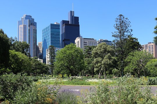 Beautiful Park In The City - Carlton Gardens In Melbourne, Australia