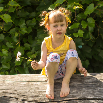 Grimmas bilder Bläddra bland 42 stockfoton, vektorer och videor