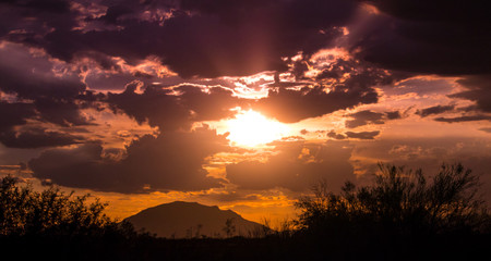 Purple Yellow Sunset