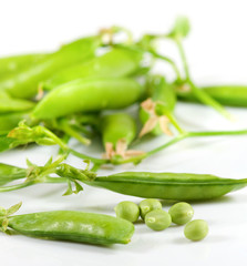 isolated image of bean closeup