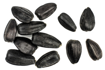 Sunflower seeds isolated on white, top view