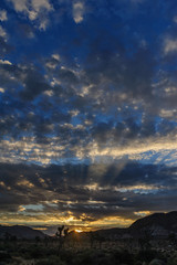 The rising sun breaking trough a thin layer of clouds in Joshua Tree National Park