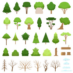Set of different forest, tropical and dry trees, bushes, stumps, logs and clouds. Vector illustration