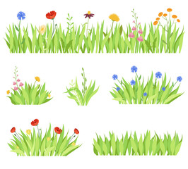 Set of different natural garden flowers in the grass. Fresh garden flower beds on a white background. Vector illustration