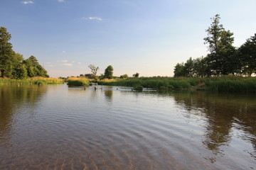 Fototapeta na wymiar River in the summer