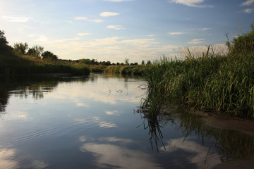 Obraz na płótnie Canvas River in the summer