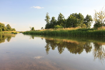 River in the summer