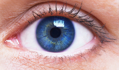girl's blue eye close up - obrazy, fototapety, plakaty