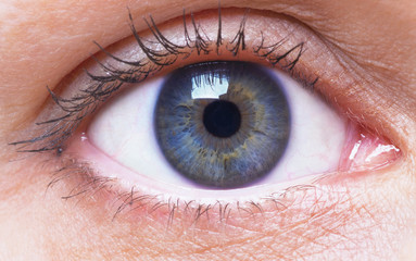 girl's blue eye close up